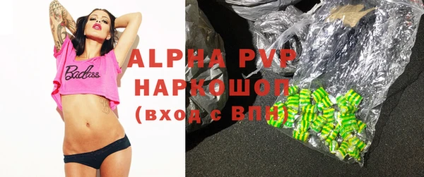 хмурый Болотное