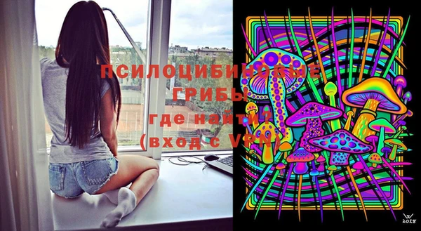 спайс Алексеевка
