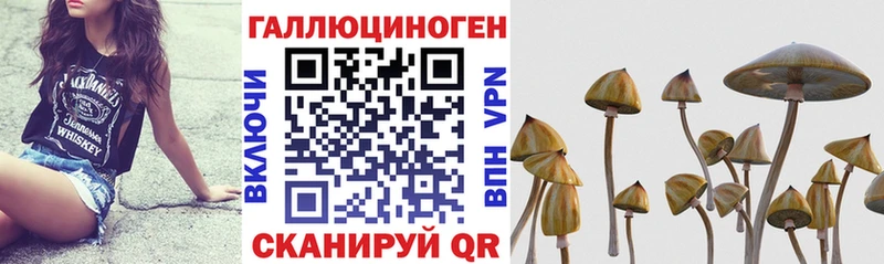 Галлюциногенные грибы мухоморы  Бирск 